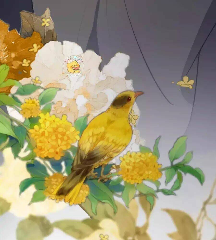 Trùng Sinh Chuyên Sủng Độc Phi Của Nhiếp Chính Vương - Chapter 42 - Page 46