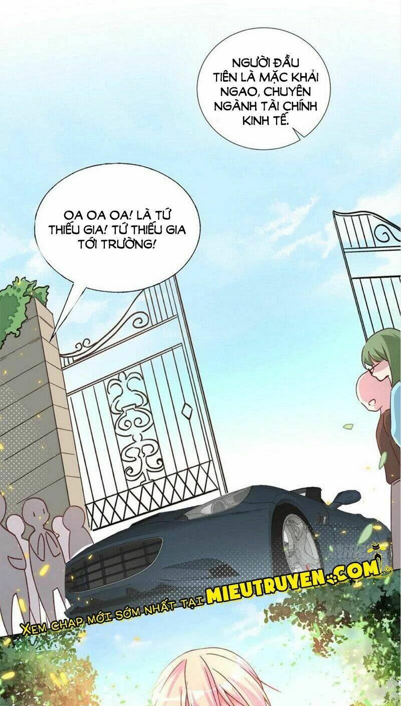 BaBa Đẹp Trai Trên Trời Rơi Xuống Chapter 12 - Trang 2