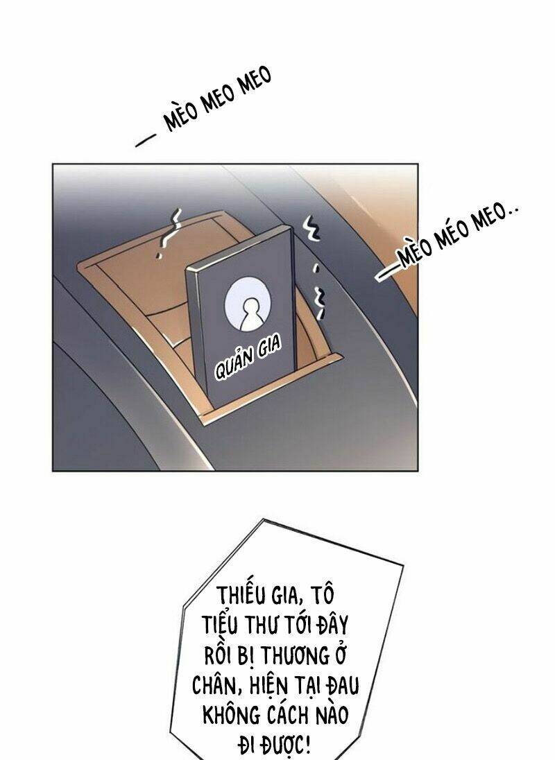 BaBa Đẹp Trai Trên Trời Rơi Xuống Chapter 18 - Trang 30
