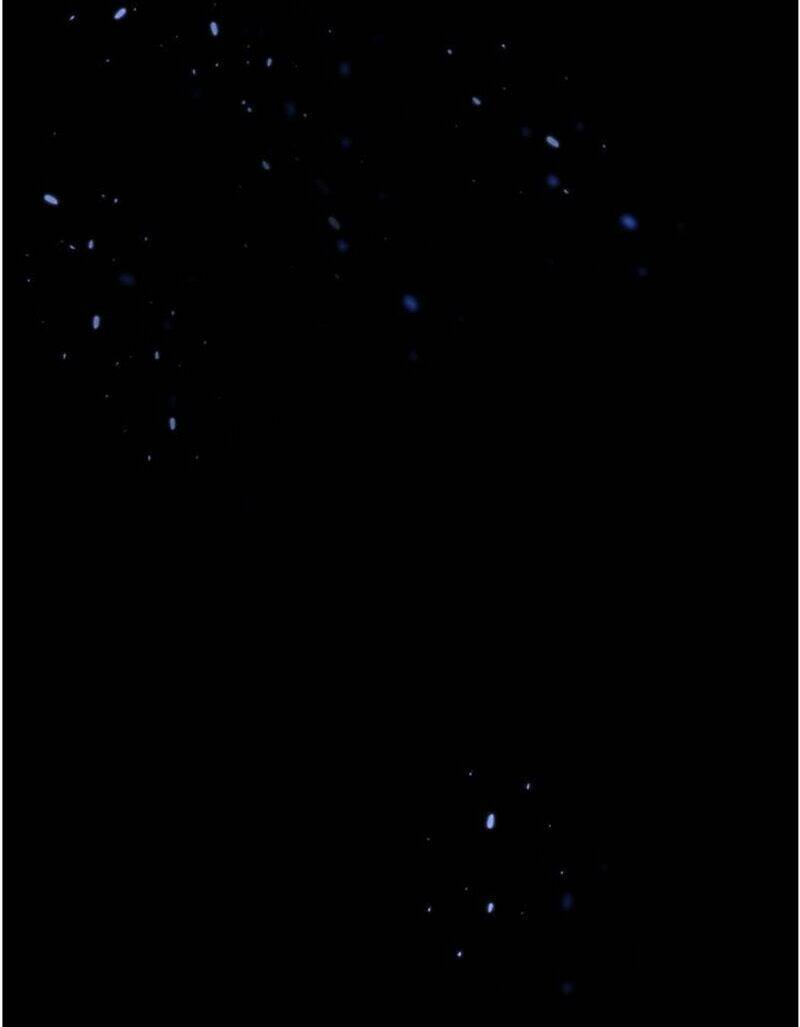 BaBa Đẹp Trai Trên Trời Rơi Xuống Chapter 21 - Trang 14