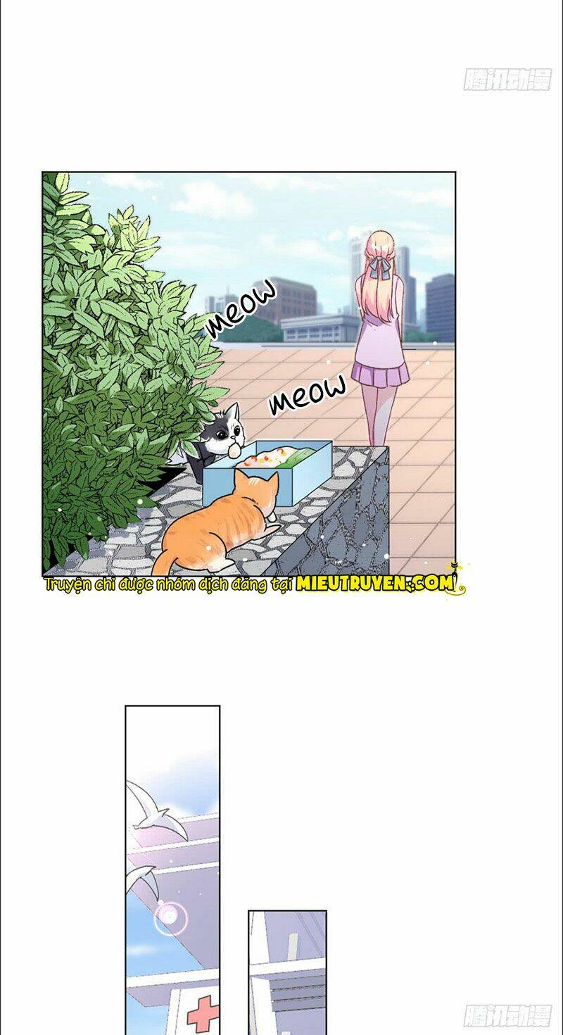 BaBa Đẹp Trai Trên Trời Rơi Xuống Chapter 53 - Trang 15