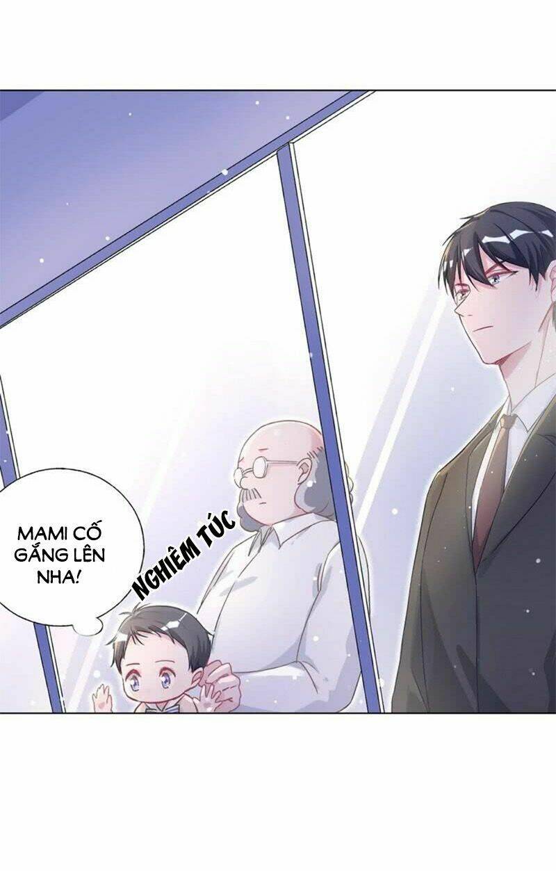 BaBa Đẹp Trai Trên Trời Rơi Xuống Chapter 9 - Trang 17
