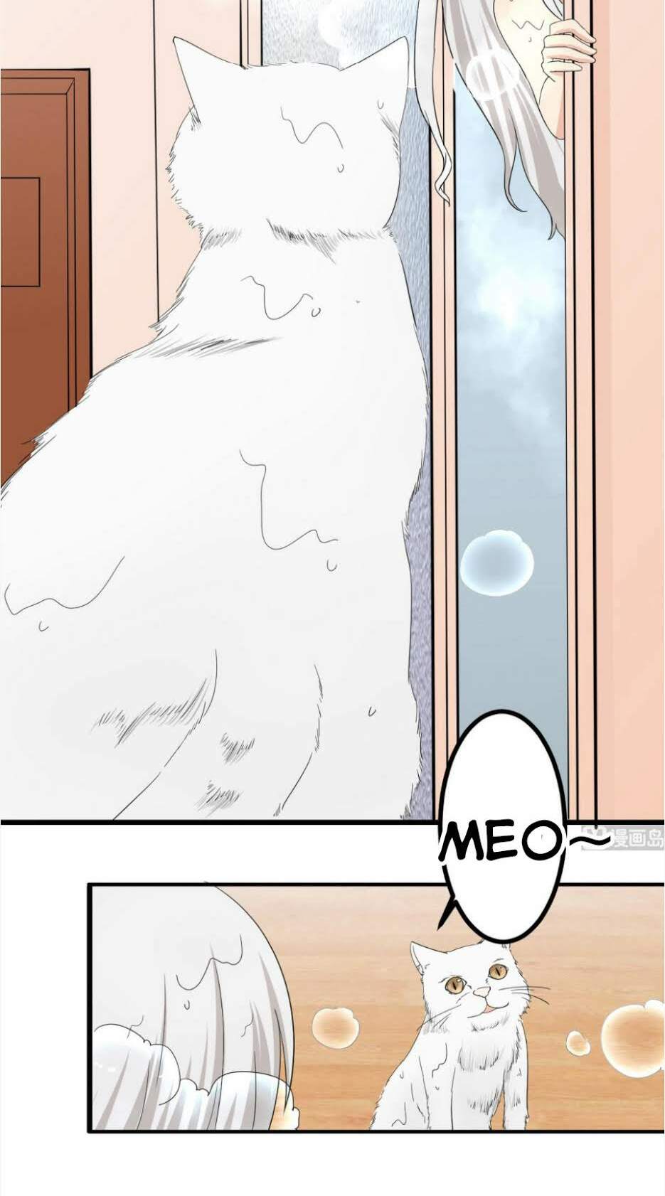 Hắn Là Long Ngạo Thiên Chapter 35 - Trang 15