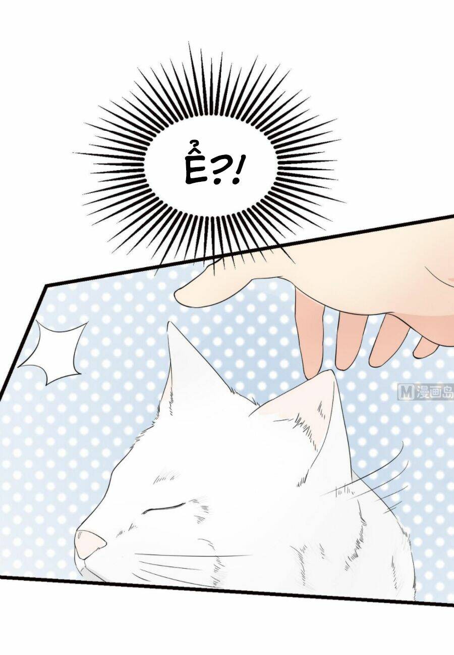 Hắn Là Long Ngạo Thiên Chapter 37 - Trang 17