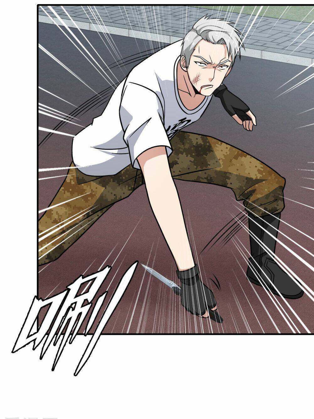 Hộ Hoa Cao Thủ Tại Đô Thị - Chapter 110 - Page 13