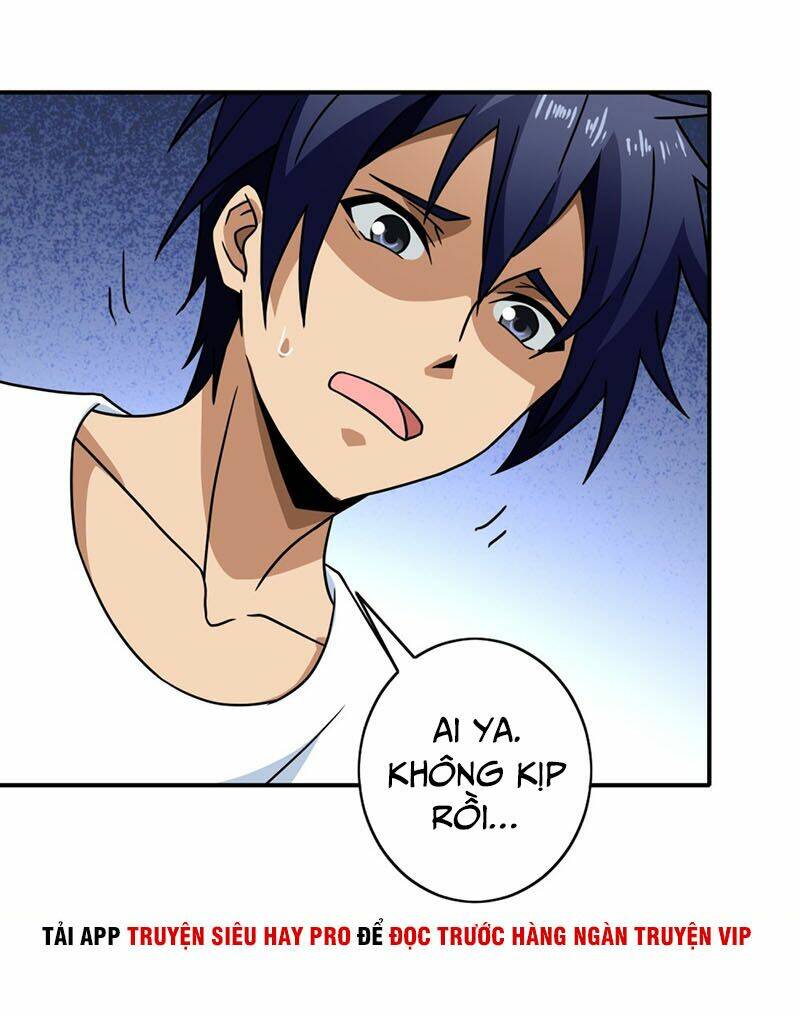 Hộ Hoa Cao Thủ Tại Đô Thị - Chapter 135 - Page 11