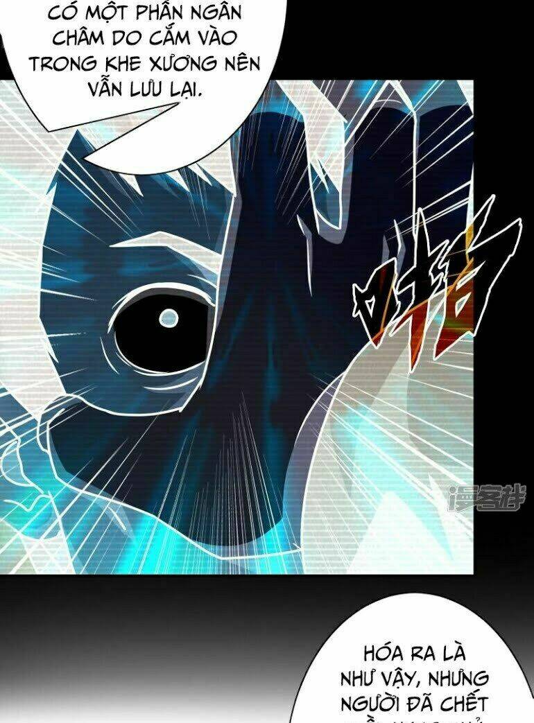 Hộ Hoa Cao Thủ Tại Đô Thị - Chapter 48 - Page 19