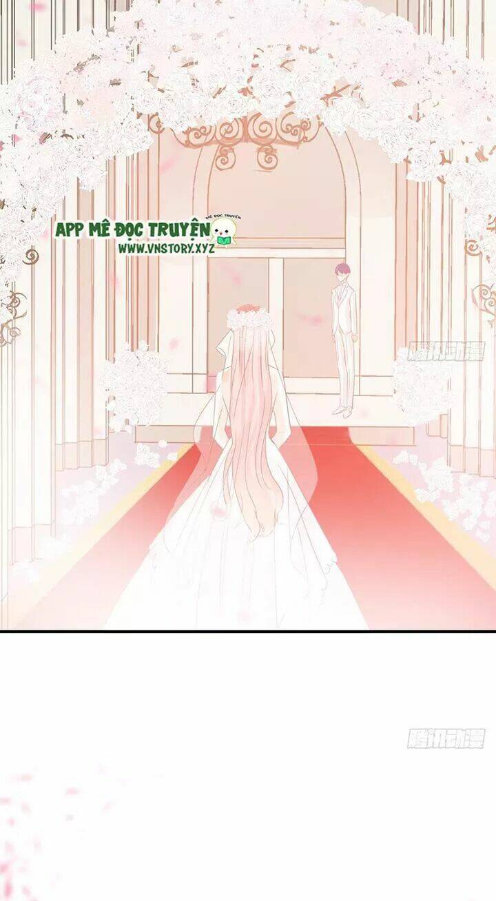 Cẩm Lý thiếu nữ của tôi - Chapter 117 - Page 24