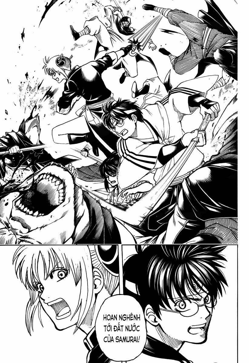 Gintama - Linh hồn bạc - Chapter 699 - Page 31