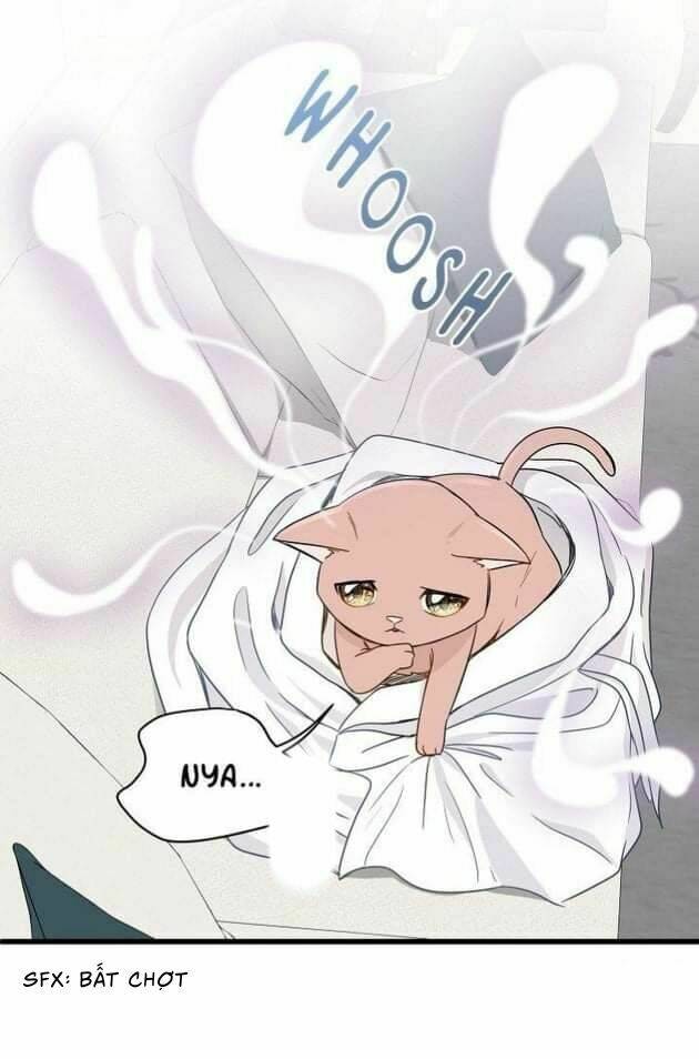 Một Cuộc Sống Kỳ Lạ - Chapter 2 - Page 38