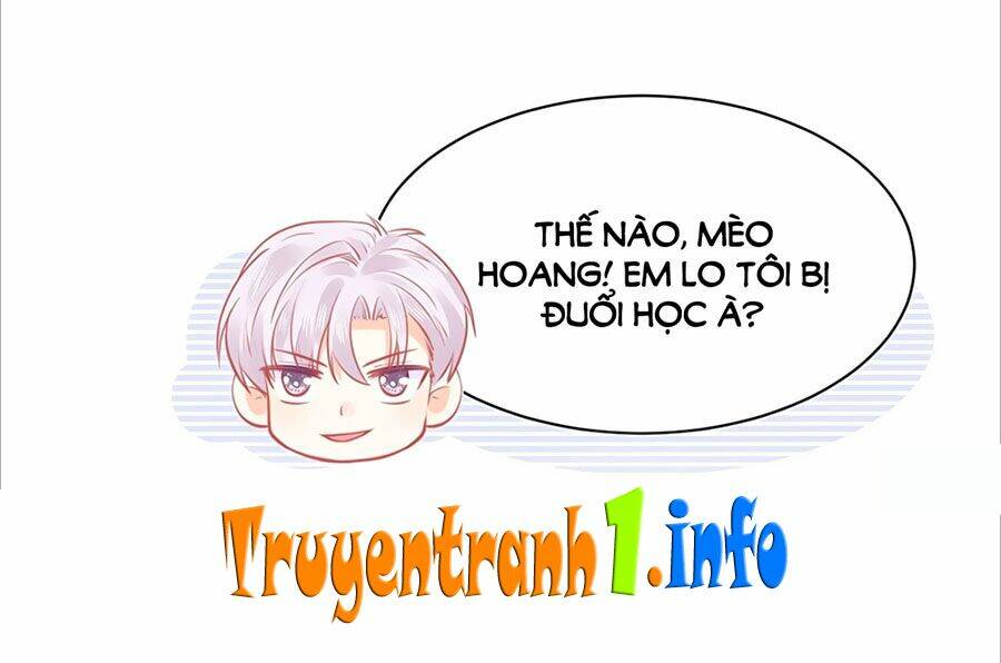 Bọn Họ Đều Muốn Gả Cho Tôi Làm Sao Đây? Chapter 26 - Trang 33