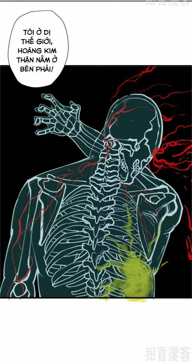 Tối Cường Đại Biểu Hoàng Kim Thận - Chapter 113 - Page 11