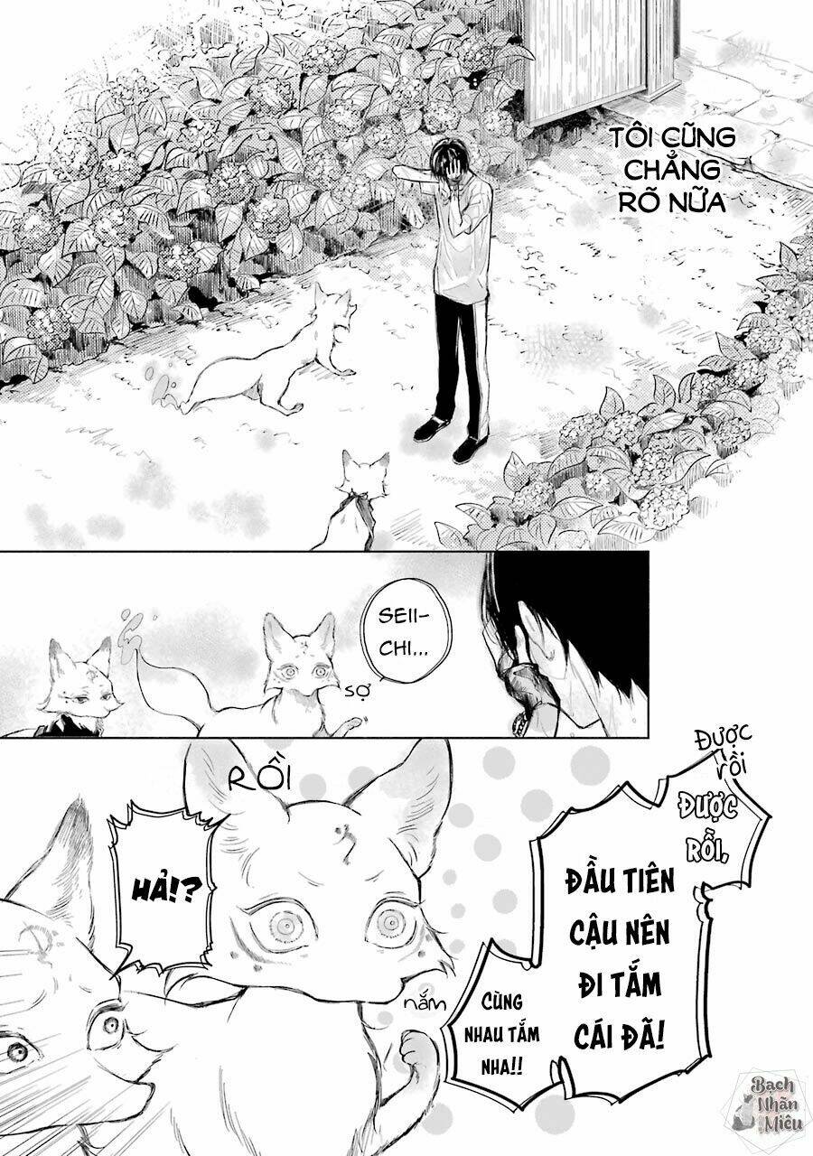 Thiên Hồ Và Phong Ấn Thuật - Chapter 3 - Page 3