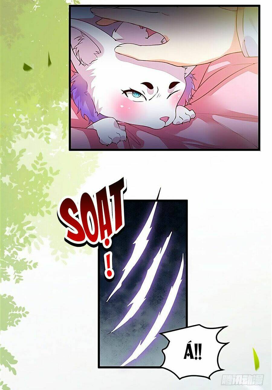 Thần Y Khí Nữ: Ngự Thú Cuồng Phi Của Quỷ Đế - Chapter 14 - Page 11