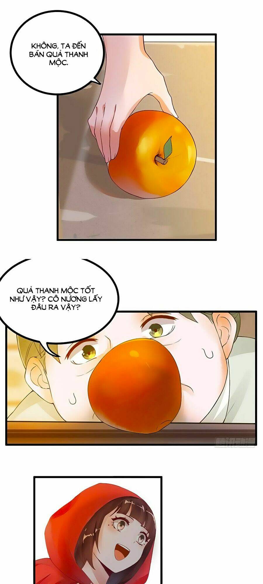 Thần Y Khí Nữ: Ngự Thú Cuồng Phi Của Quỷ Đế - Chapter 16 - Page 10