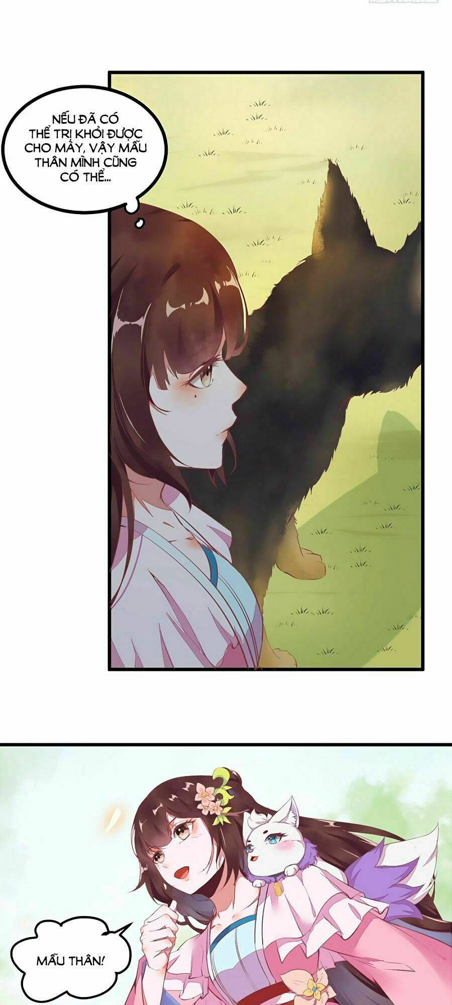 Thần Y Khí Nữ: Ngự Thú Cuồng Phi Của Quỷ Đế - Chapter 19 - Page 12