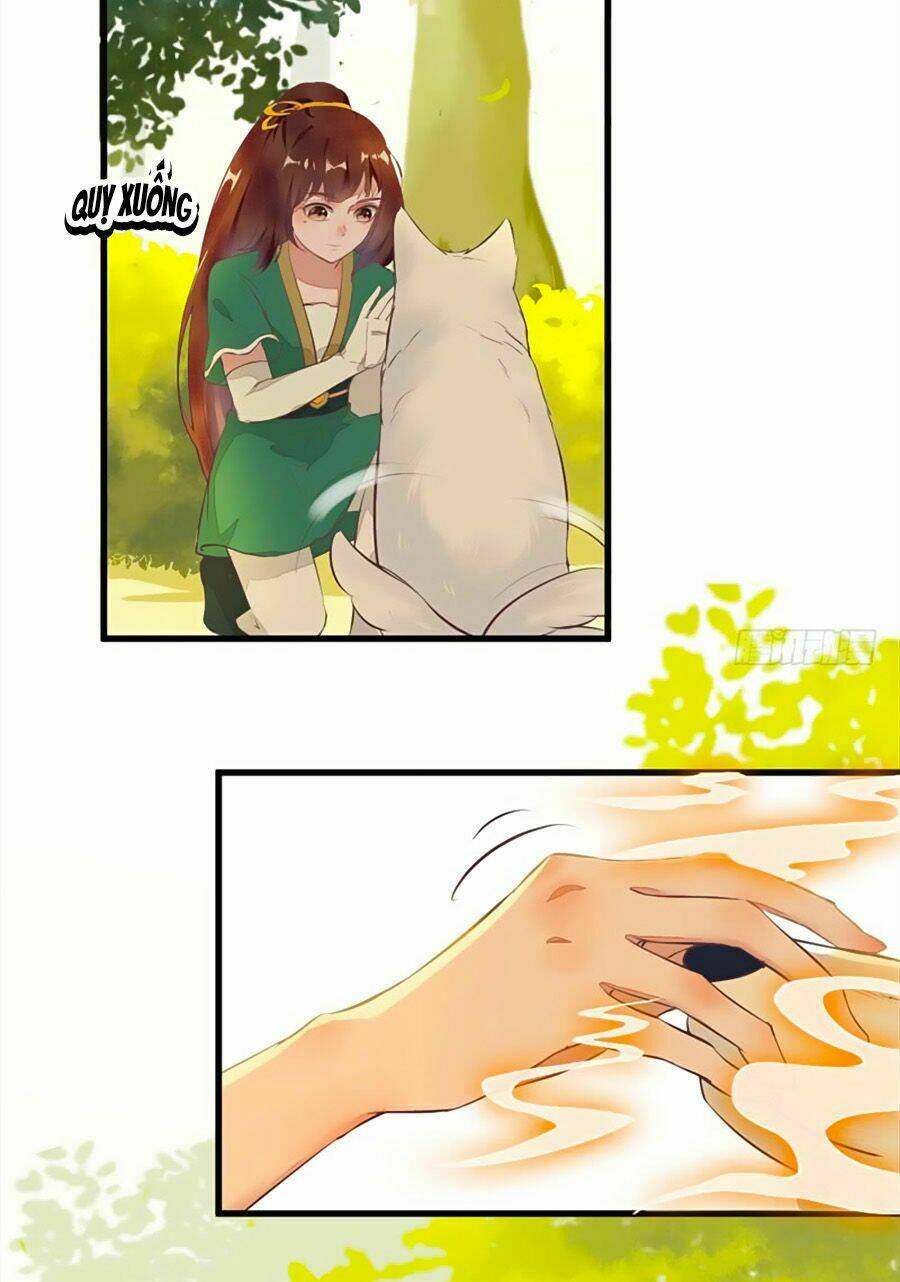 Thần Y Khí Nữ: Ngự Thú Cuồng Phi Của Quỷ Đế - Chapter 25 - Page 5