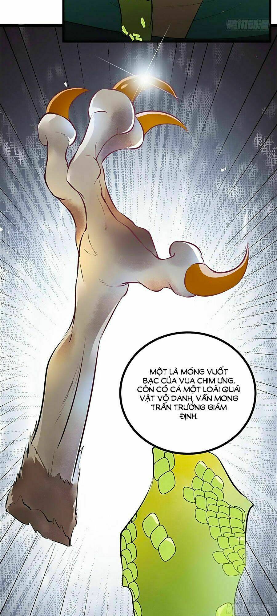 Thần Y Khí Nữ: Ngự Thú Cuồng Phi Của Quỷ Đế - Chapter 29 - Page 11