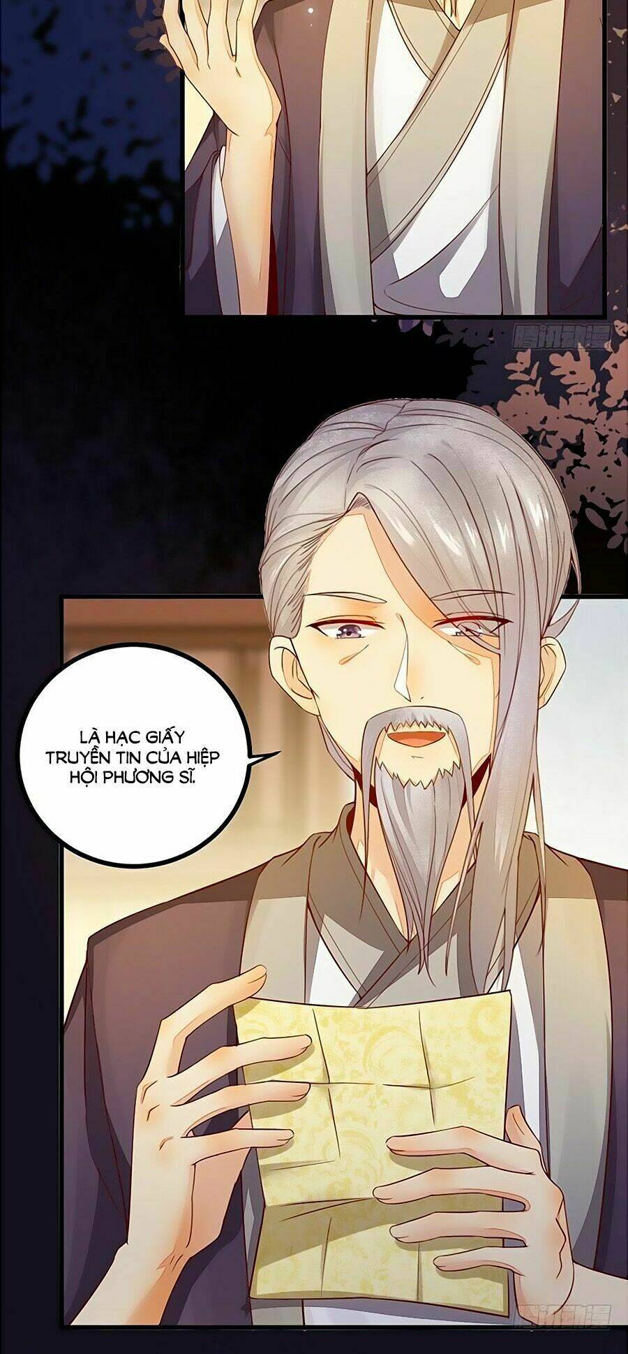 Thần Y Khí Nữ: Ngự Thú Cuồng Phi Của Quỷ Đế - Chapter 37 - Page 13