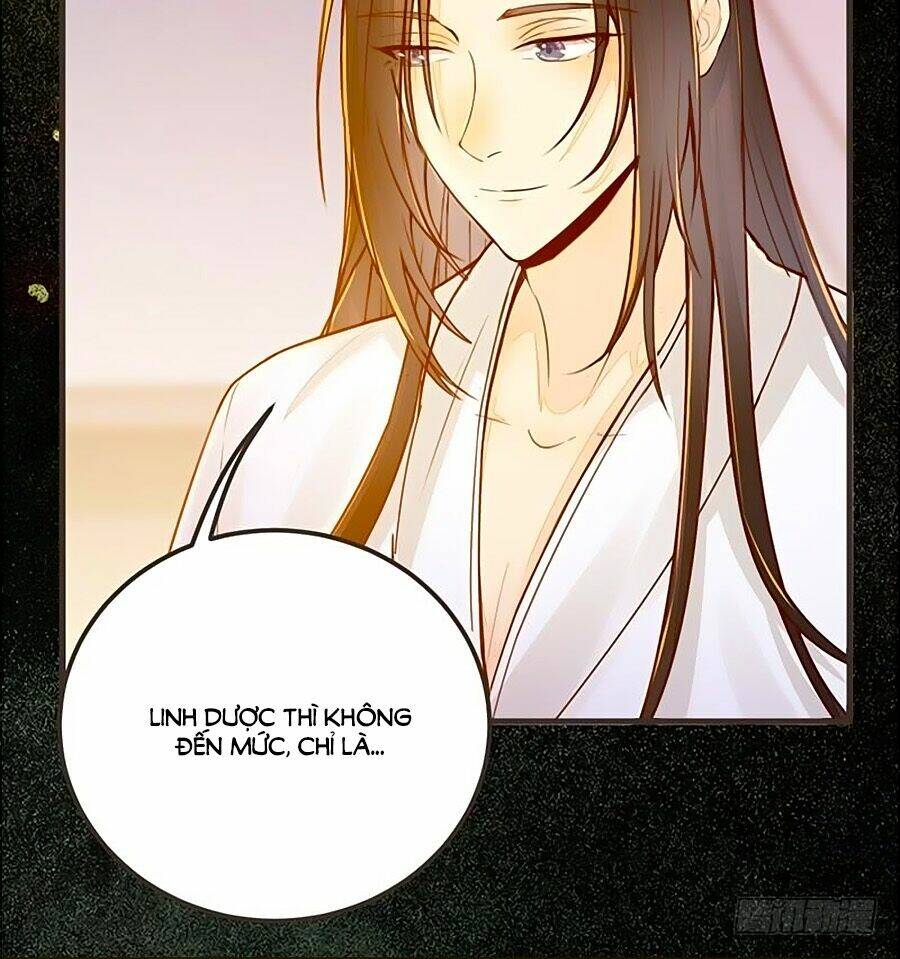 Thần Y Khí Nữ: Ngự Thú Cuồng Phi Của Quỷ Đế - Chapter 45 - Page 7