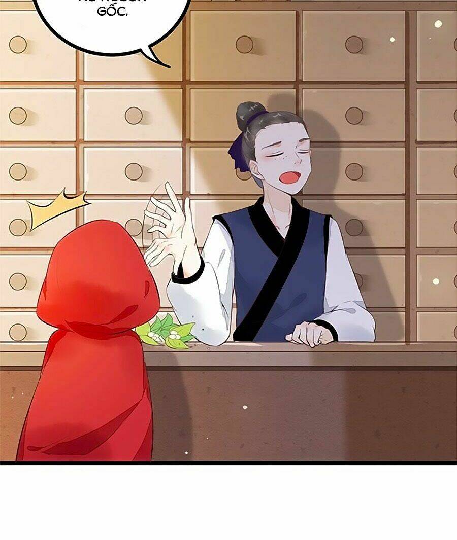 Thần Y Khí Nữ: Ngự Thú Cuồng Phi Của Quỷ Đế - Chapter 5 - Page 17