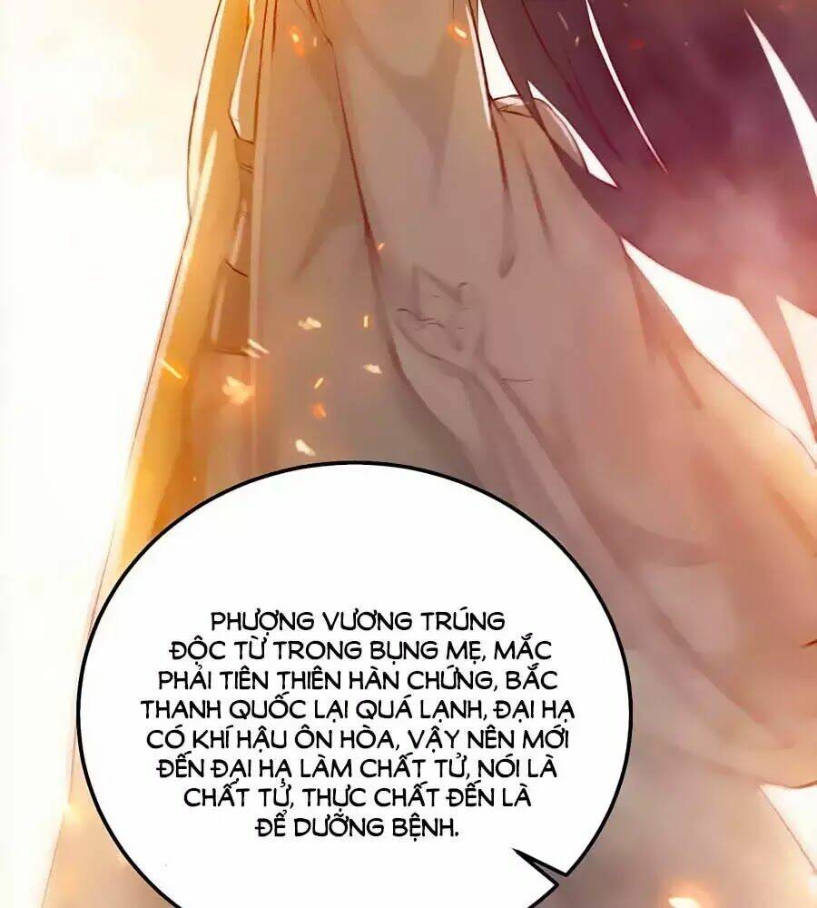 Thần Y Khí Nữ: Ngự Thú Cuồng Phi Của Quỷ Đế - Chapter 53 - Page 13