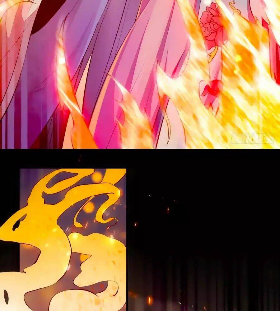 Thần Y Khí Nữ: Ngự Thú Cuồng Phi Của Quỷ Đế - Chapter 59 - Page 11