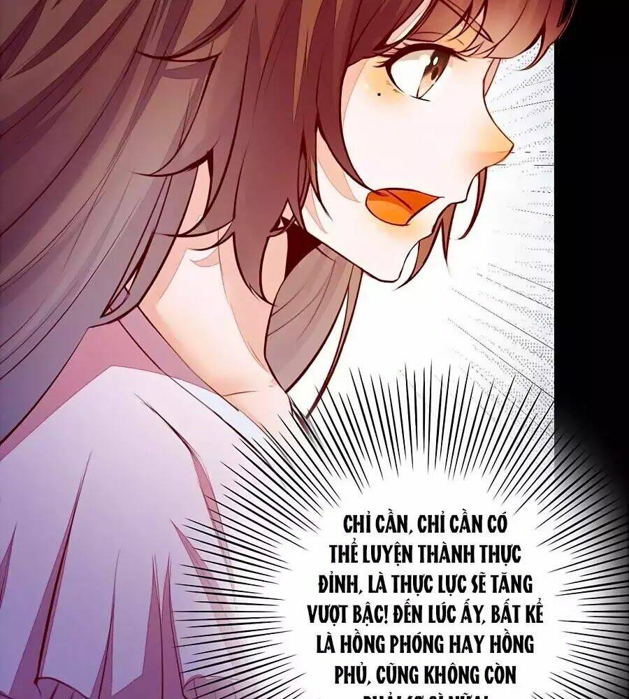 Thần Y Khí Nữ: Ngự Thú Cuồng Phi Của Quỷ Đế - Chapter 61 - Page 11