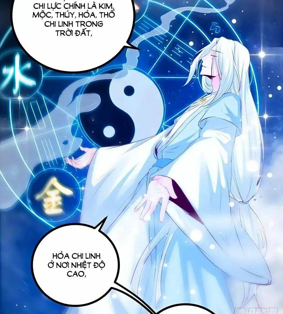 Thần Y Khí Nữ: Ngự Thú Cuồng Phi Của Quỷ Đế - Chapter 61 - Page 24