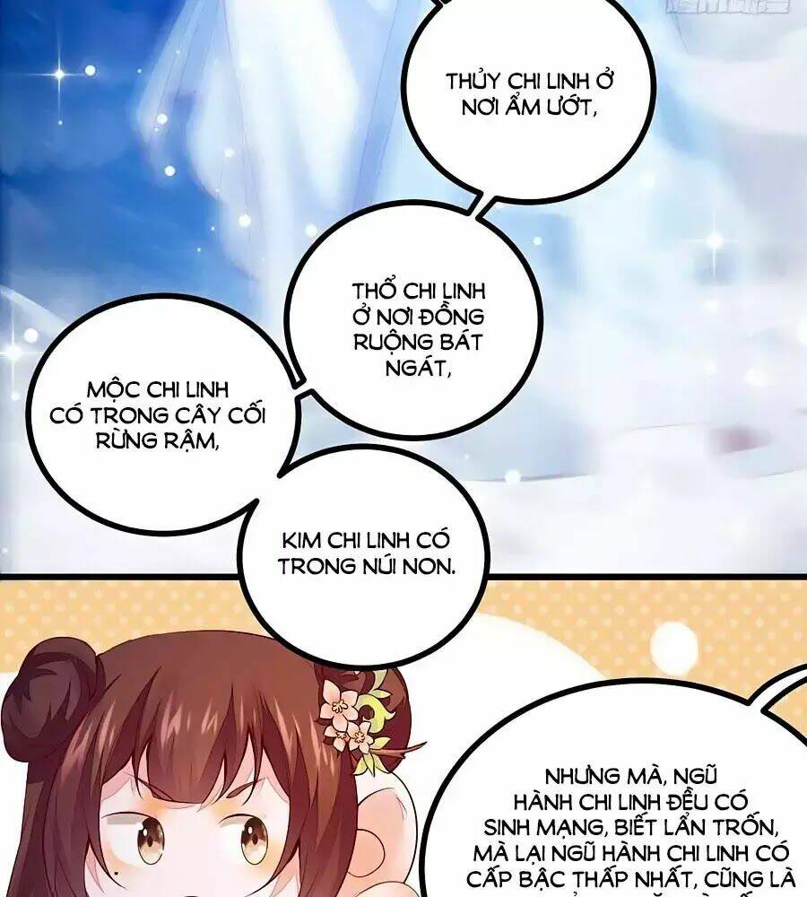 Thần Y Khí Nữ: Ngự Thú Cuồng Phi Của Quỷ Đế - Chapter 61 - Page 25