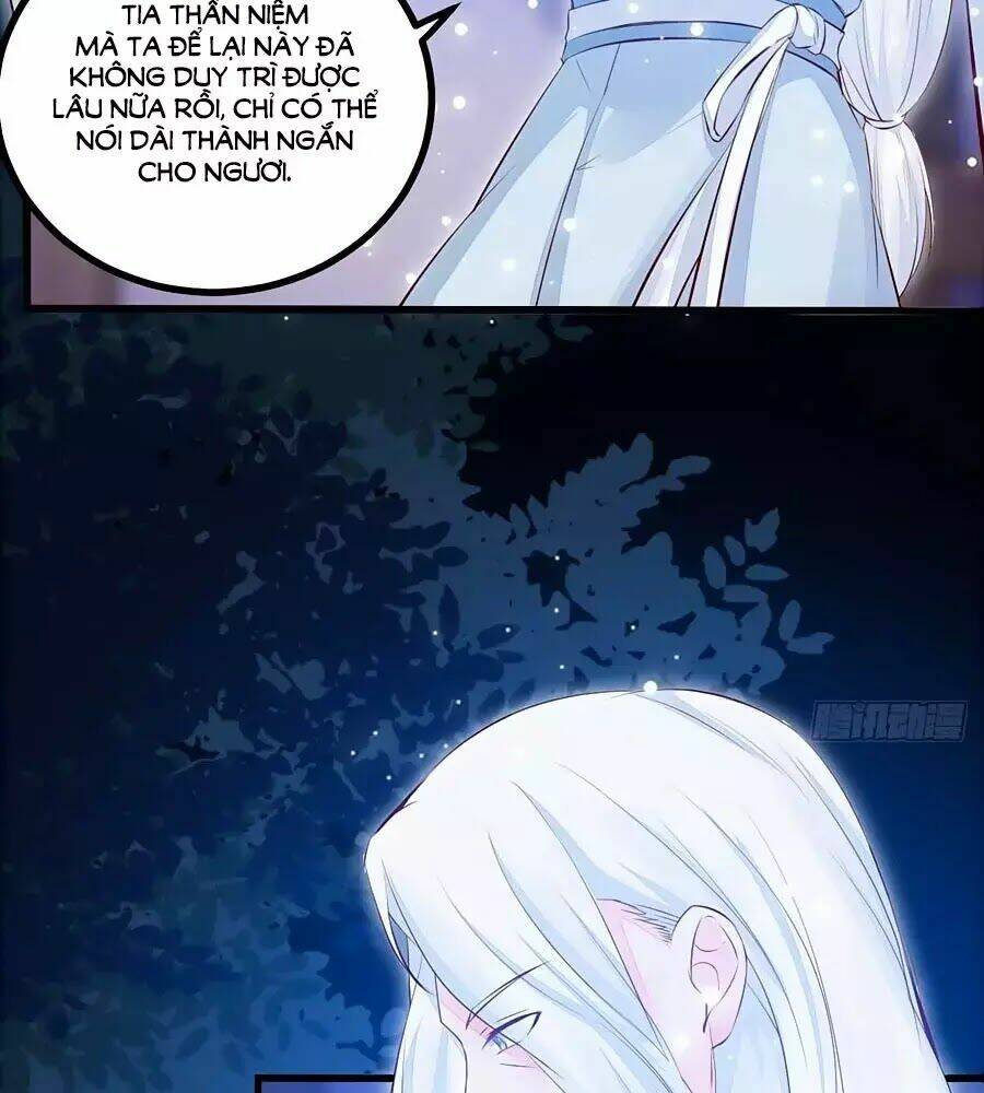 Thần Y Khí Nữ: Ngự Thú Cuồng Phi Của Quỷ Đế - Chapter 61 - Page 3
