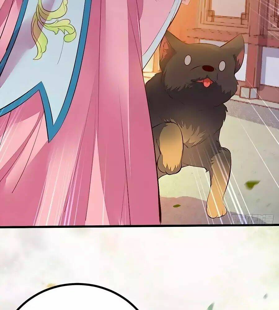 Thần Y Khí Nữ: Ngự Thú Cuồng Phi Của Quỷ Đế - Chapter 61 - Page 63