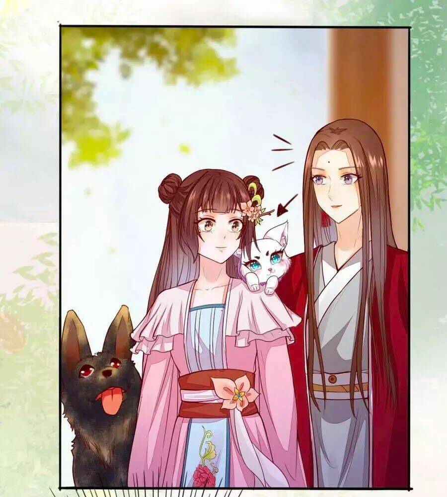 Thần Y Khí Nữ: Ngự Thú Cuồng Phi Của Quỷ Đế - Chapter 62 - Page 9