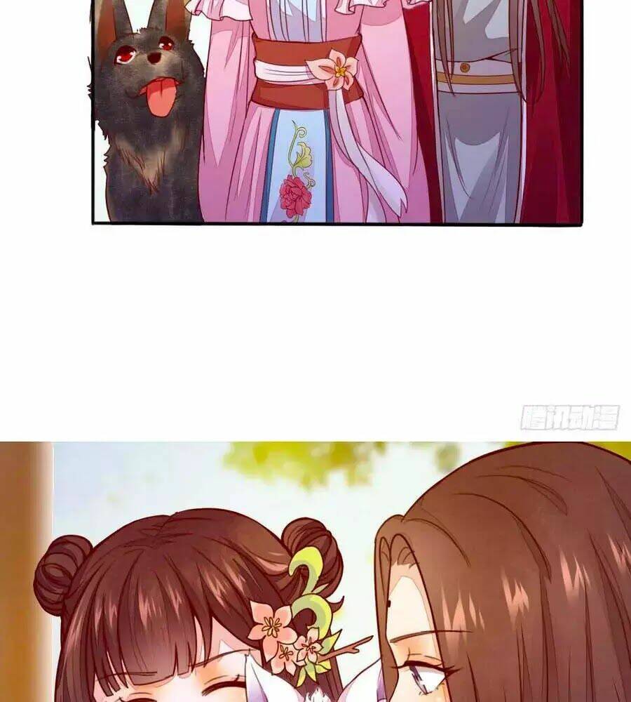 Thần Y Khí Nữ: Ngự Thú Cuồng Phi Của Quỷ Đế - Chapter 62 - Page 11