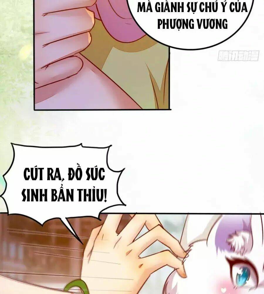 Thần Y Khí Nữ: Ngự Thú Cuồng Phi Của Quỷ Đế - Chapter 62 - Page 30