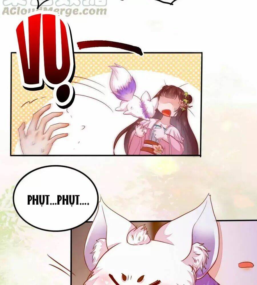 Thần Y Khí Nữ: Ngự Thú Cuồng Phi Của Quỷ Đế - Chapter 62 - Page 38