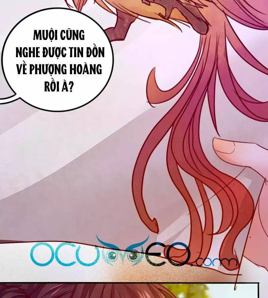 Thần Y Khí Nữ: Ngự Thú Cuồng Phi Của Quỷ Đế - Chapter 62 - Page 3