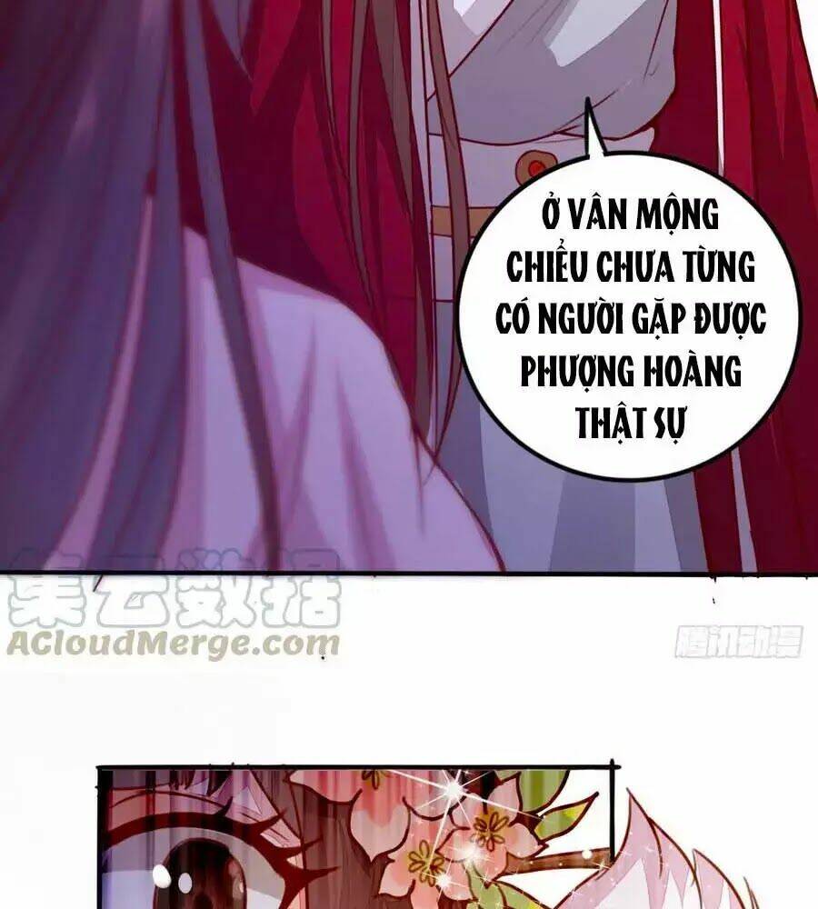 Thần Y Khí Nữ: Ngự Thú Cuồng Phi Của Quỷ Đế - Chapter 62 - Page 6