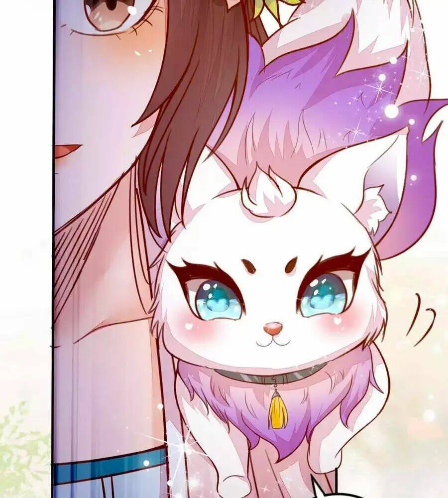 Thần Y Khí Nữ: Ngự Thú Cuồng Phi Của Quỷ Đế - Chapter 62 - Page 7