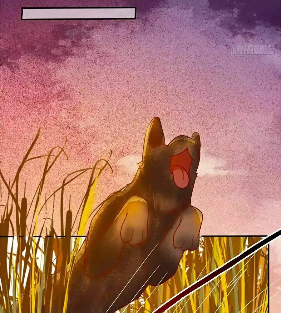 Thần Y Khí Nữ: Ngự Thú Cuồng Phi Của Quỷ Đế - Chapter 63 - Page 51