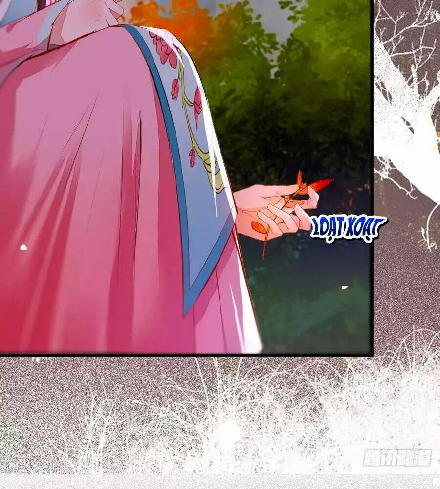 Thần Y Khí Nữ: Ngự Thú Cuồng Phi Của Quỷ Đế - Chapter 64 - Page 11