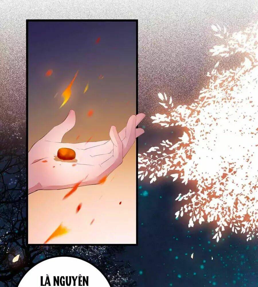 Thần Y Khí Nữ: Ngự Thú Cuồng Phi Của Quỷ Đế - Chapter 64 - Page 12