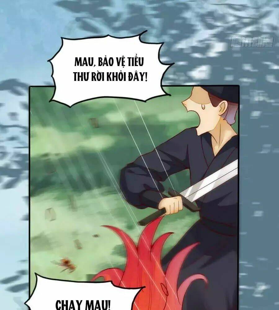 Thần Y Khí Nữ: Ngự Thú Cuồng Phi Của Quỷ Đế - Chapter 65 - Page 9