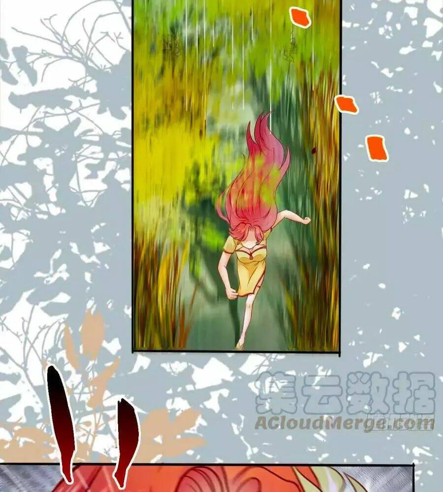 Thần Y Khí Nữ: Ngự Thú Cuồng Phi Của Quỷ Đế - Chapter 65 - Page 13