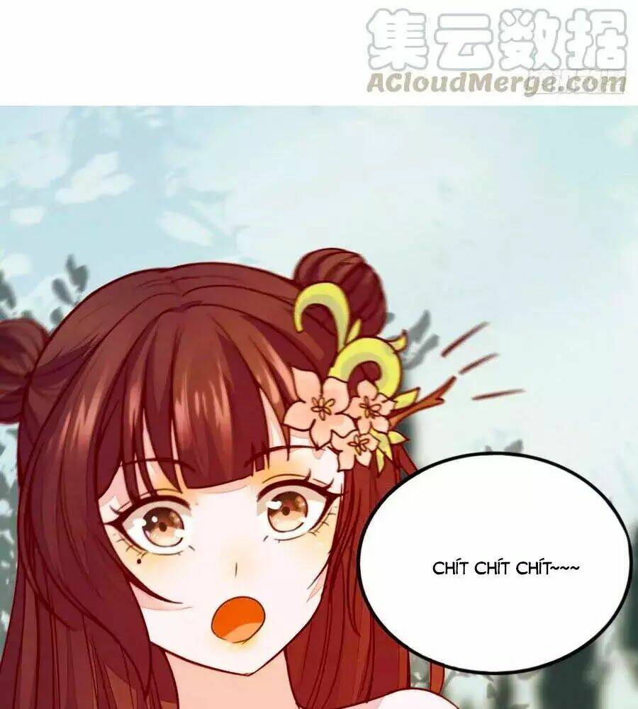 Thần Y Khí Nữ: Ngự Thú Cuồng Phi Của Quỷ Đế - Chapter 65 - Page 47