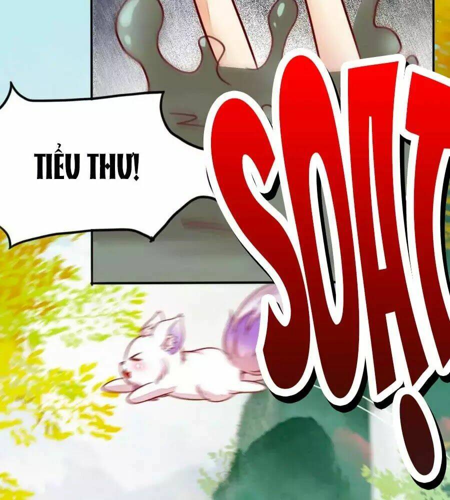 Thần Y Khí Nữ: Ngự Thú Cuồng Phi Của Quỷ Đế - Chapter 65 - Page 60