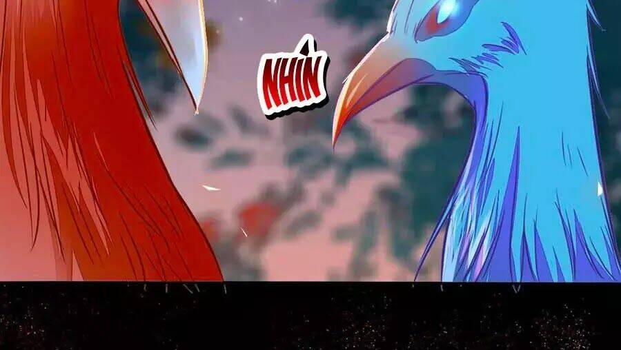 Thần Y Khí Nữ: Ngự Thú Cuồng Phi Của Quỷ Đế - Chapter 69 - Page 113