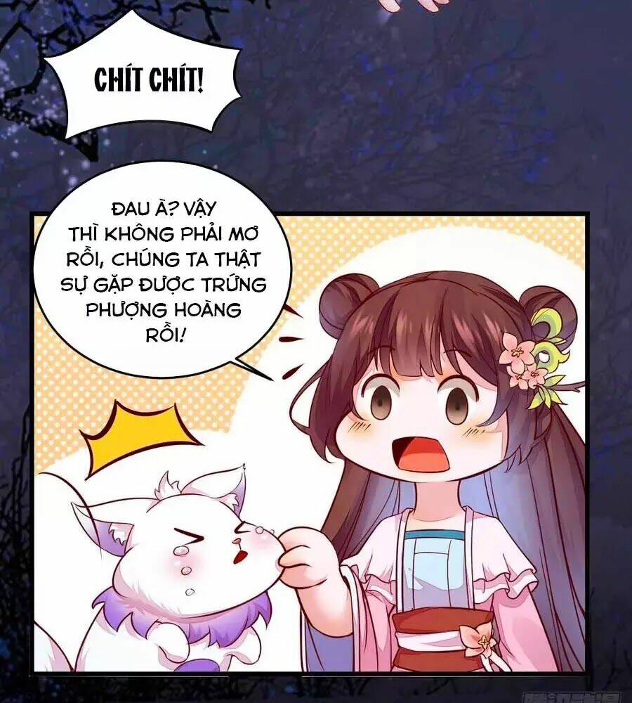 Thần Y Khí Nữ: Ngự Thú Cuồng Phi Của Quỷ Đế - Chapter 69 - Page 24