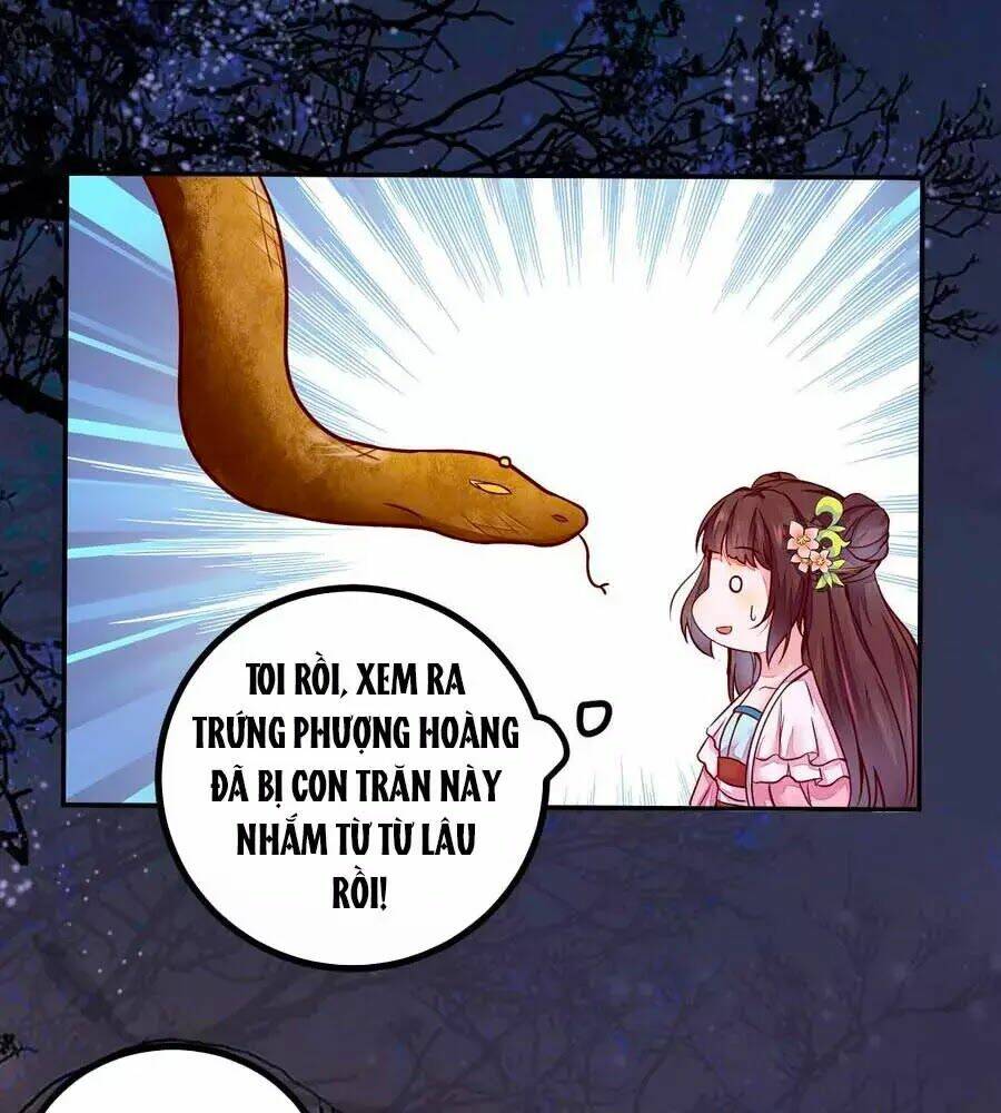 Thần Y Khí Nữ: Ngự Thú Cuồng Phi Của Quỷ Đế - Chapter 69 - Page 37