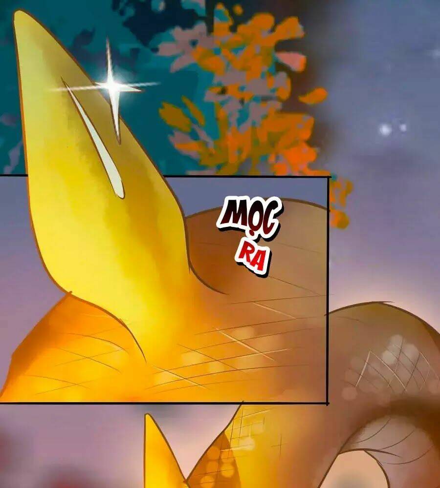 Thần Y Khí Nữ: Ngự Thú Cuồng Phi Của Quỷ Đế - Chapter 69 - Page 70